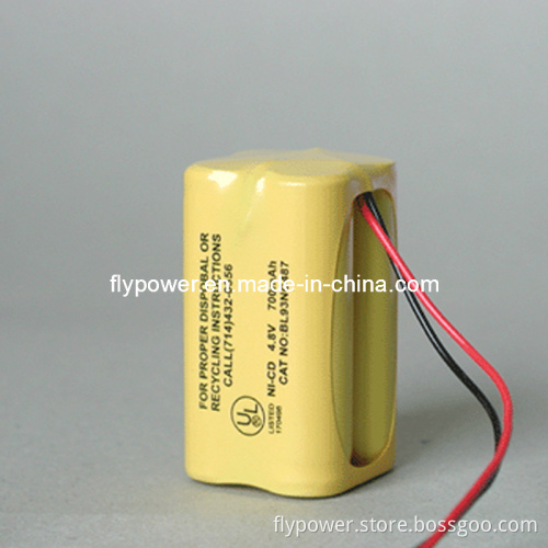 Ni-CD Battery 4.8V AA700mAh Rechargeable Battery (FD-AA700)